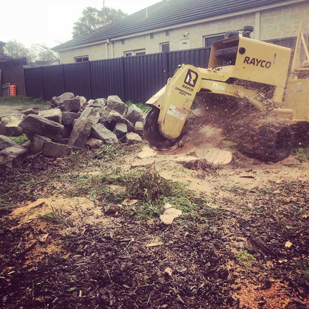 Complete tree service